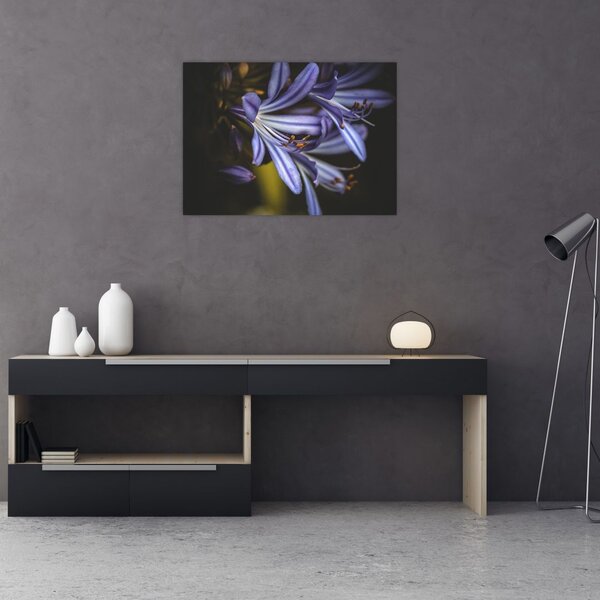Slika - Lila (70x50 cm)