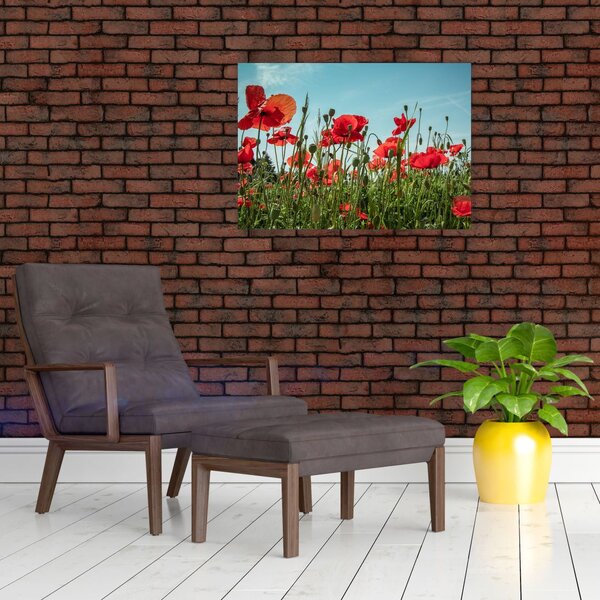 Slika - Na polju makova (70x50 cm)