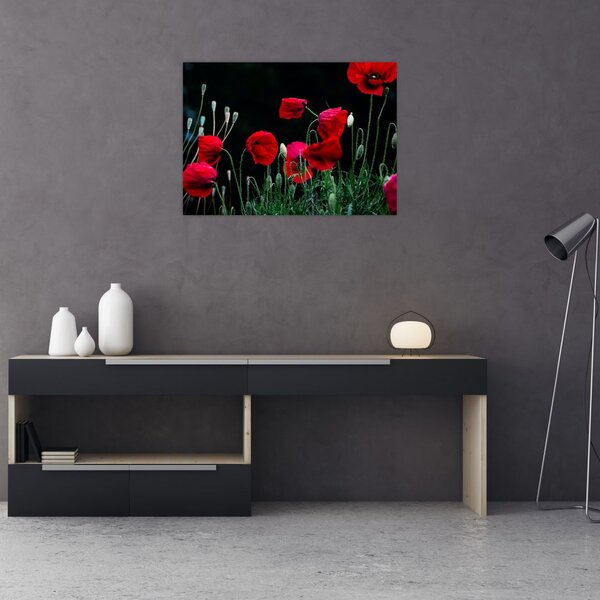 Slika - Ples makova (70x50 cm)