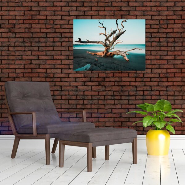 Slika - Naplavine na plaži (70x50 cm)