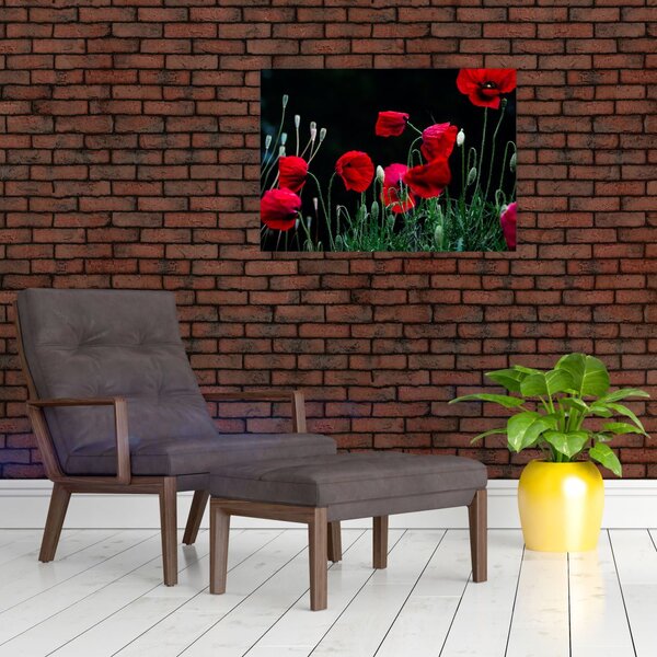 Slika - Ples makova (70x50 cm)
