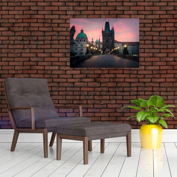 Slika - Na Karlovom mostu (70x50 cm)