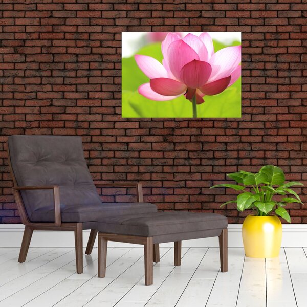 Slika cvijeta lotosa (70x50 cm)