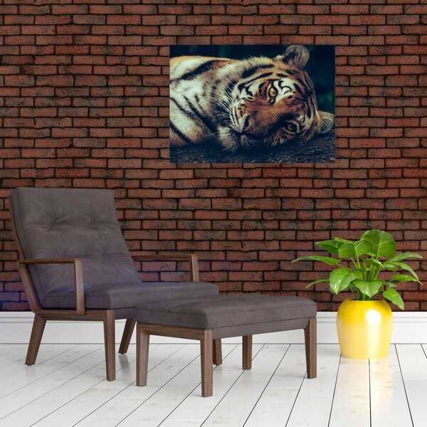 Slika - Sibirski tigar (70x50 cm)