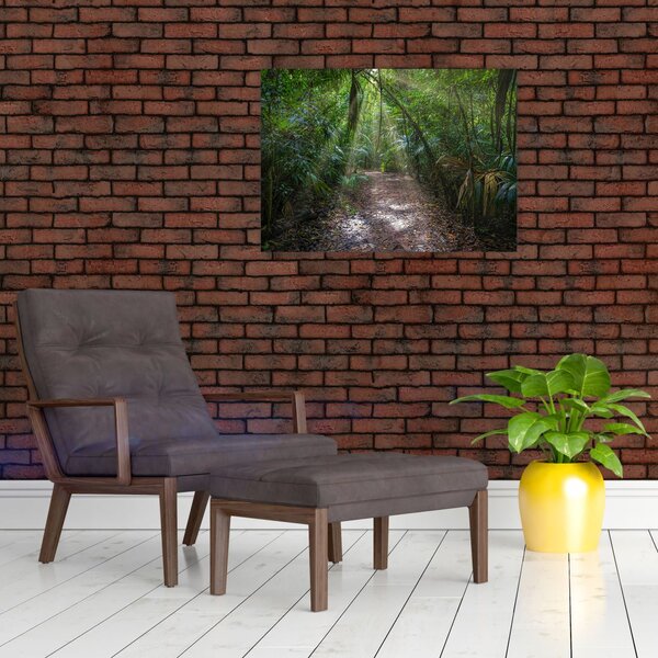 Slika - Sunčeve zrake u džungli (70x50 cm)