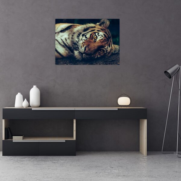 Slika - Sibirski tigar (70x50 cm)