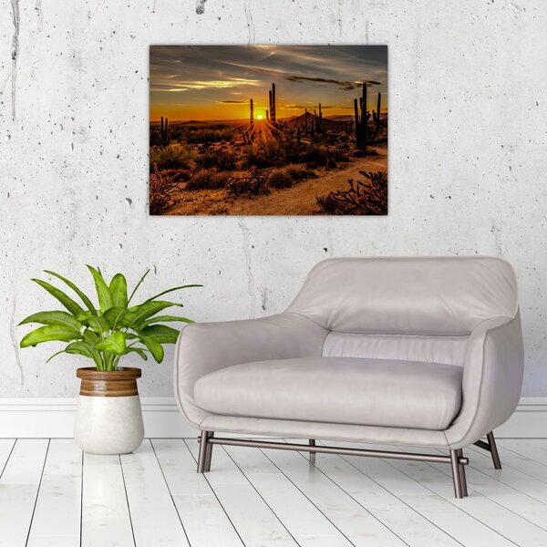 Slika - Kraj dana u pustinji Arizona (70x50 cm)