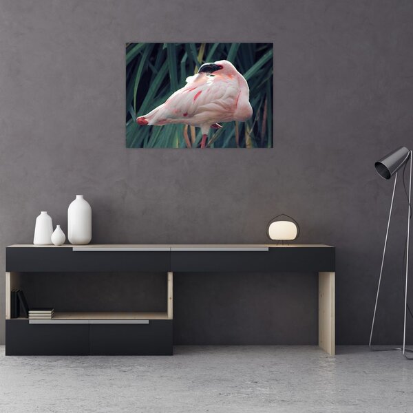 Slika - Flamingo (70x50 cm)