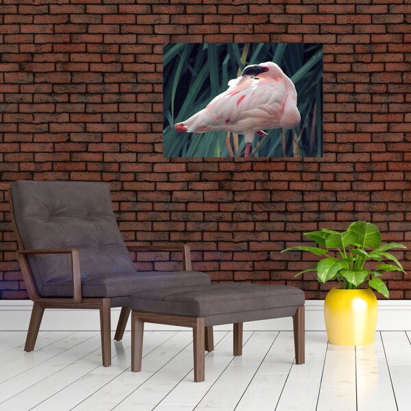 Slika - Flamingo (70x50 cm)