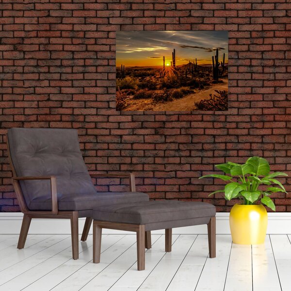 Slika - Kraj dana u pustinji Arizona (70x50 cm)