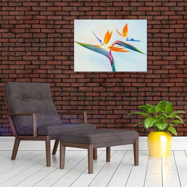 Slika cvijeta Strelicije (70x50 cm)