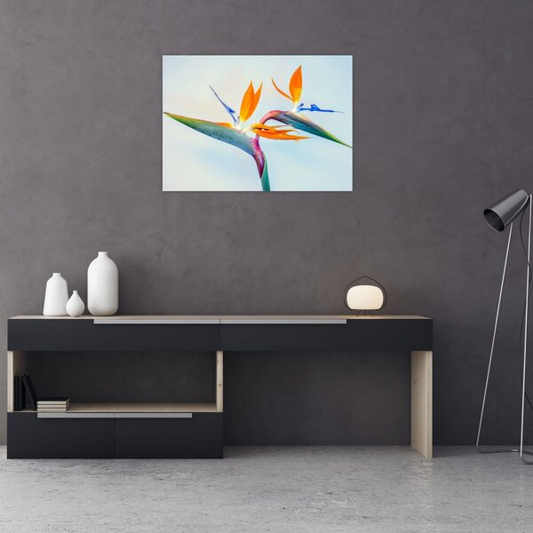 Slika cvijeta Strelicije (70x50 cm)