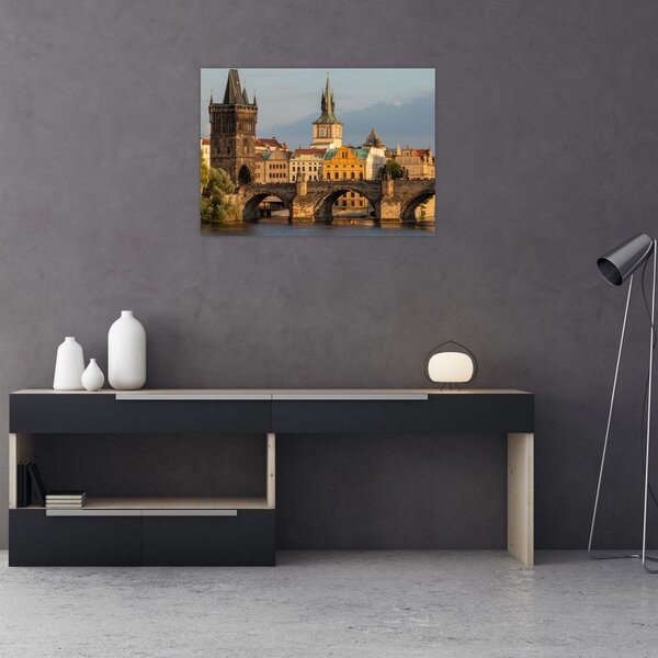 Slika - Karlov most (70x50 cm)