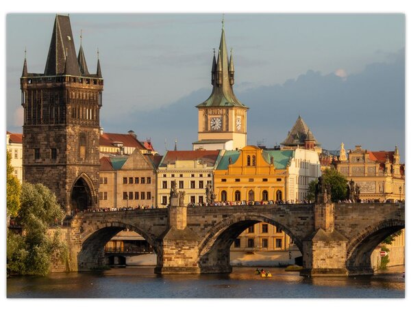 Slika - Karlov most (70x50 cm)