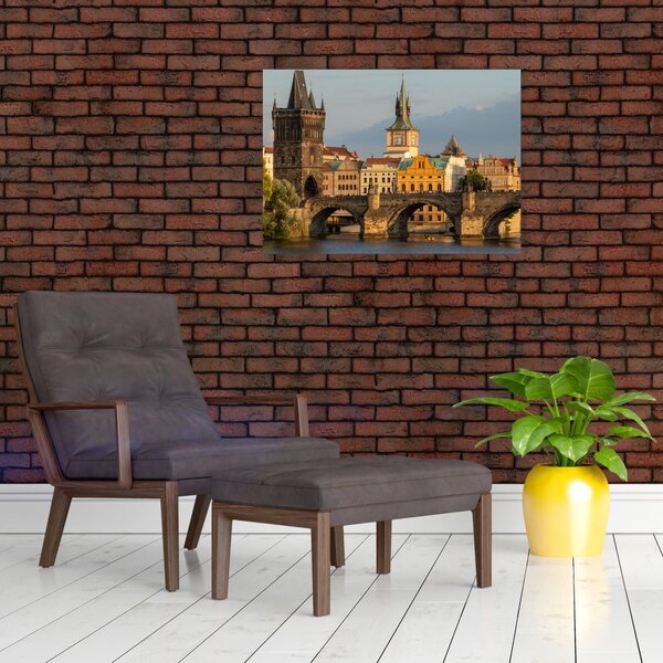 Slika - Karlov most (70x50 cm)