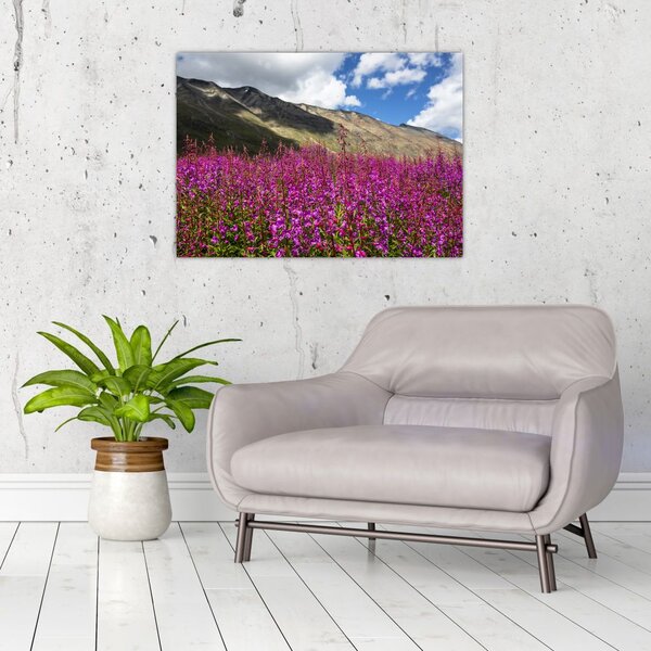 Slika pejzaža planinske livade (70x50 cm)