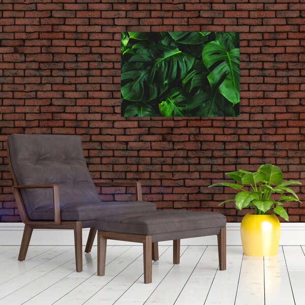 Slika lišća Monstery (70x50 cm)