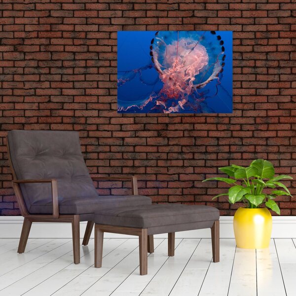 Slika meduze (70x50 cm)