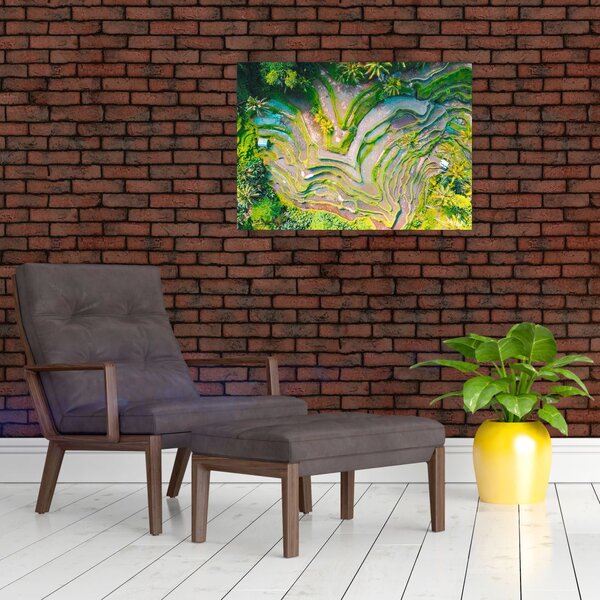 Slika rižinih polja iz ptičje perspektive (70x50 cm)