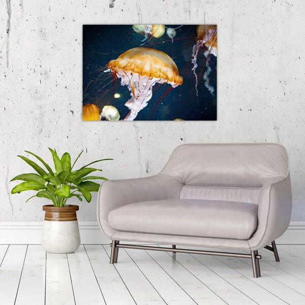 Slika meduze (70x50 cm)