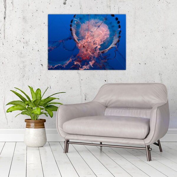 Slika meduze (70x50 cm)
