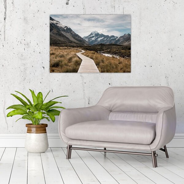 Slika - Šetnica u dolini planine Mt. Cook (70x50 cm)