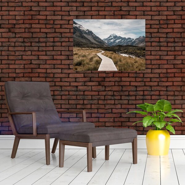 Slika - Šetnica u dolini planine Mt. Cook (70x50 cm)