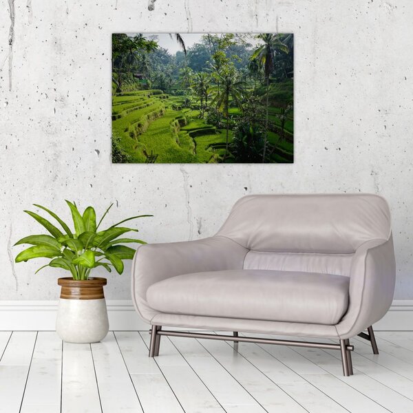 Slika rižinih terasa Tegalalang, Bali (70x50 cm)