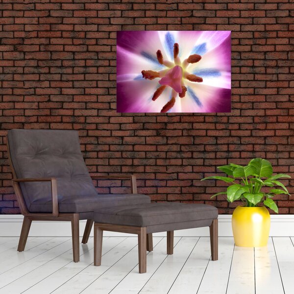 Slika - Cvijet tulipana u detalju (70x50 cm)