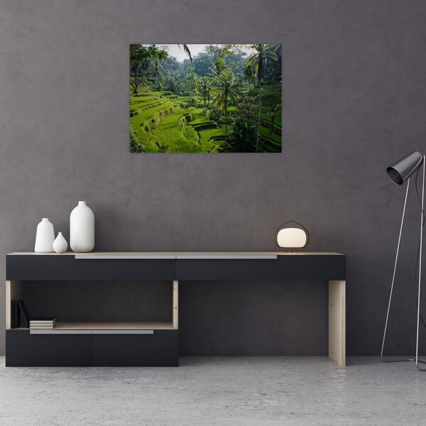 Slika rižinih terasa Tegalalang, Bali (70x50 cm)