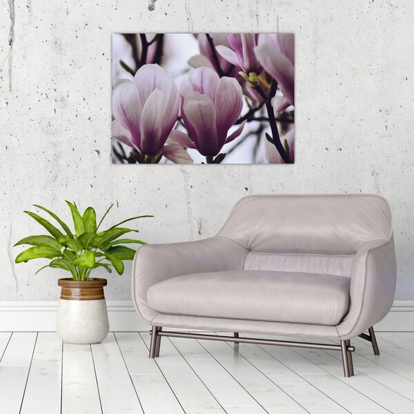 Slika - Magnolija (70x50 cm)