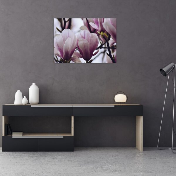 Slika - Magnolija (70x50 cm)
