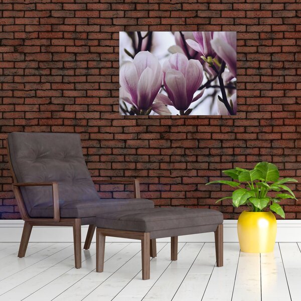 Slika - Magnolija (70x50 cm)