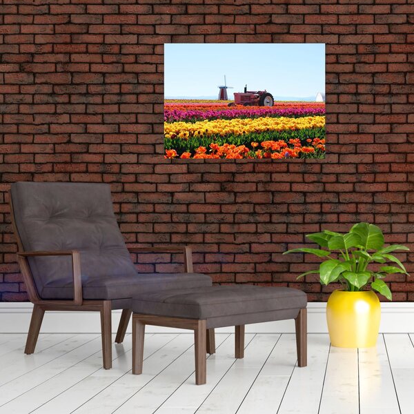 Slika farme tulipana (70x50 cm)