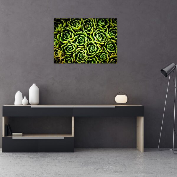 Slika čuvarkuće (70x50 cm)