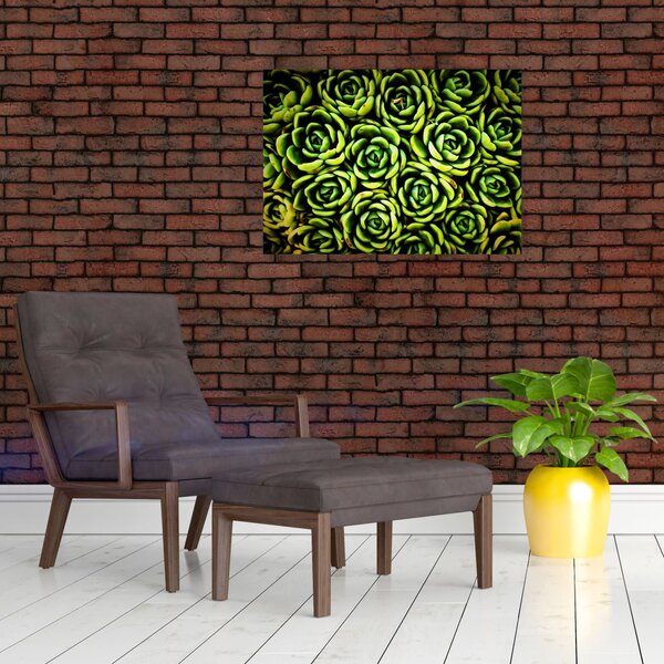 Slika čuvarkuće (70x50 cm)