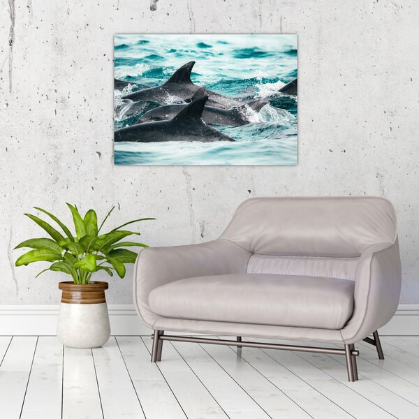 Slika - Dupini u oceanu (70x50 cm)