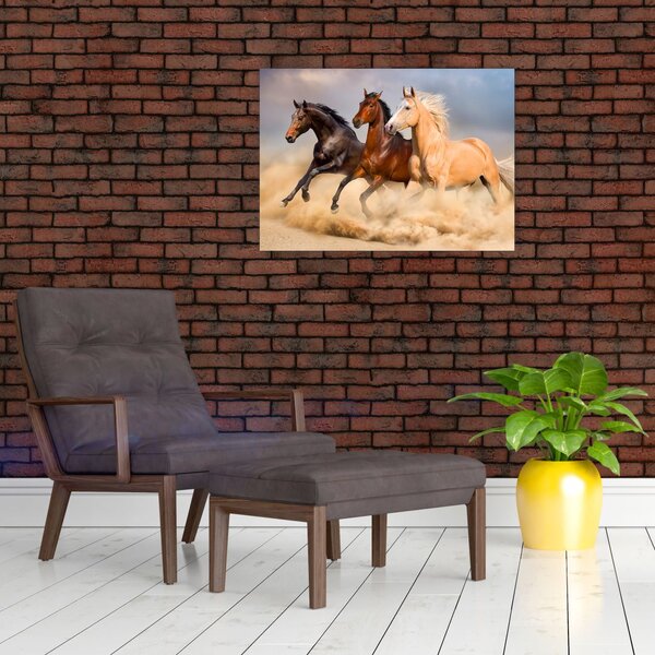 Slika - Divlji konji (70x50 cm)