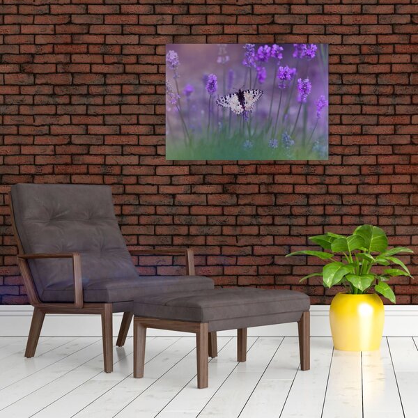 Slika - Leptir u lavandi (70x50 cm)
