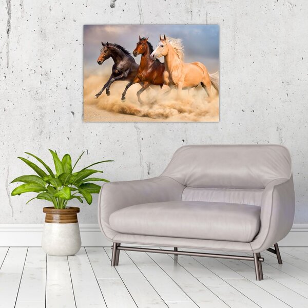 Slika - Divlji konji (70x50 cm)