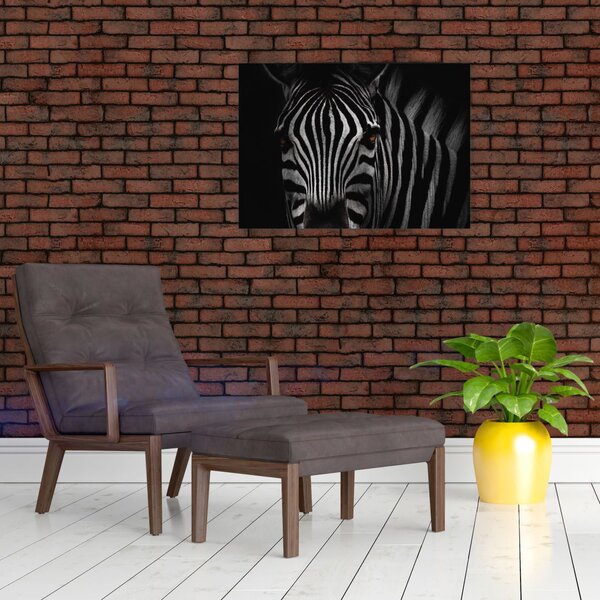 Slika zebre (70x50 cm)