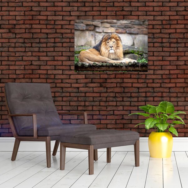 Slika lava (70x50 cm)