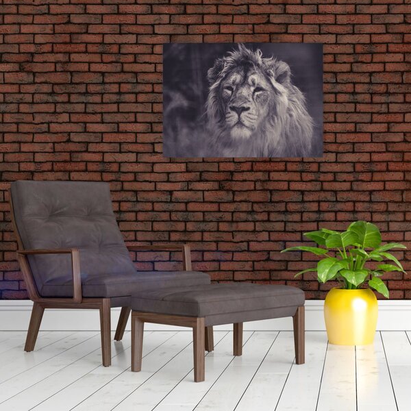 Slika lava (70x50 cm)