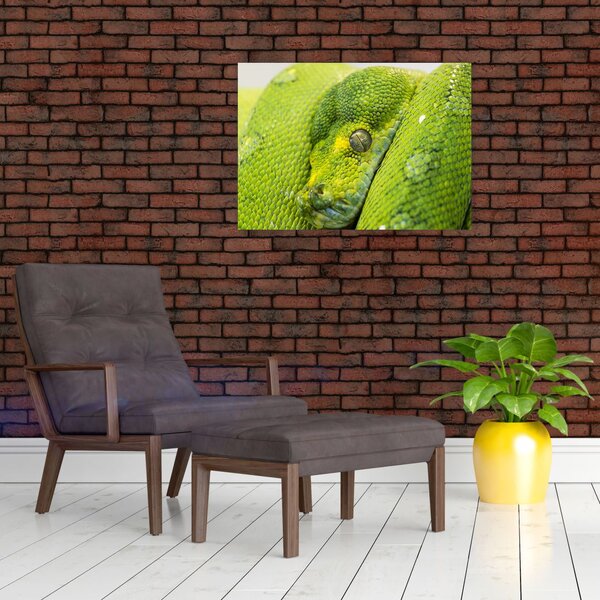 Slika zmije (70x50 cm)