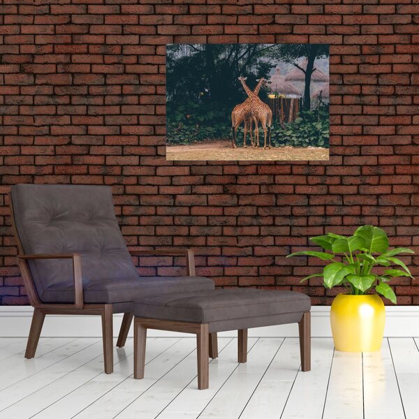 Slika dviju žirafa (70x50 cm)