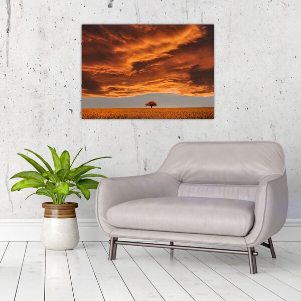 Slika oblaka (70x50 cm)