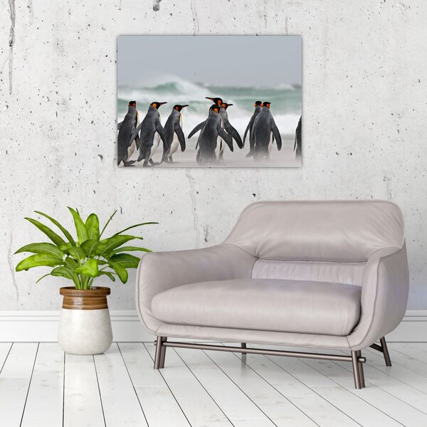 Slika pingvina uz ocean (70x50 cm)