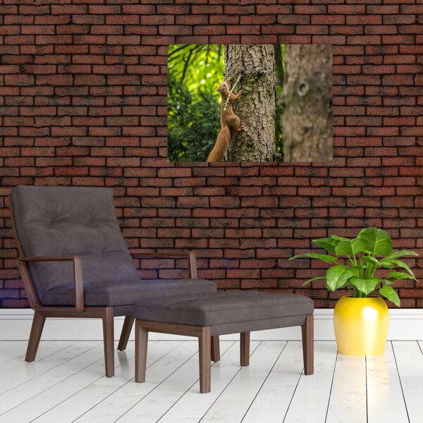 Slika - Vjeverica (70x50 cm)