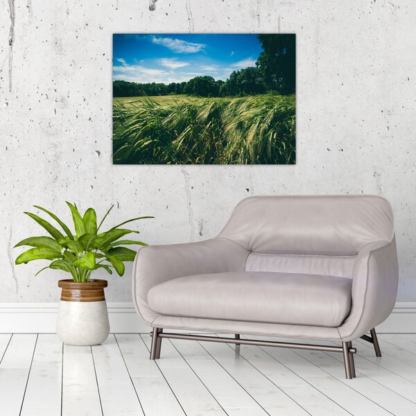 Slika livade i šume (70x50 cm)