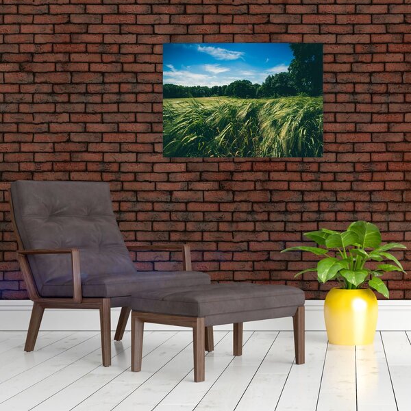Slika livade i šume (70x50 cm)